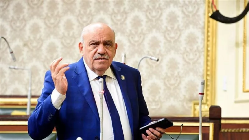 سيد حنفي: لن نسمح بعودة انقطاع الكهرباء.. والمواطن لا يتحمل فاتورة السرقة