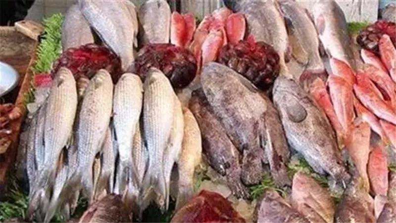 أسعار الأسماك بأنواعها في المنيا اليوم الأربعاء 