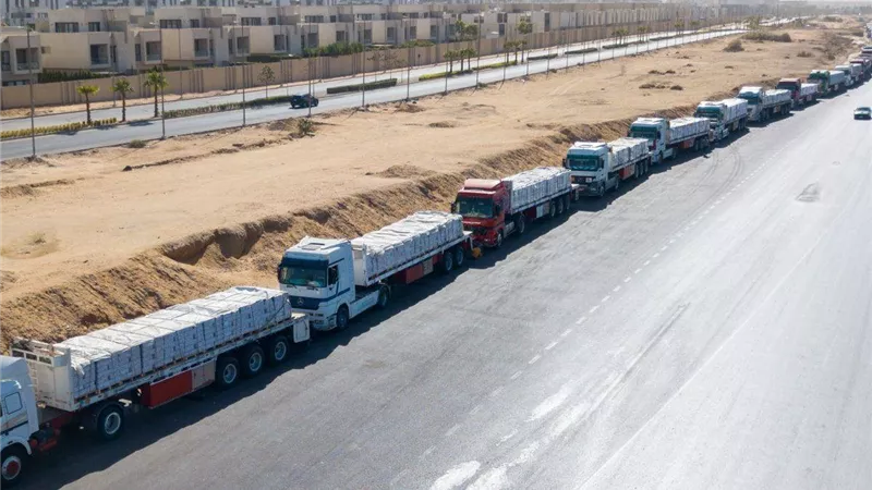 صندوق تحيا مصر: دخول 780 طنا من المواد الغذائية إلى قطاع غزة