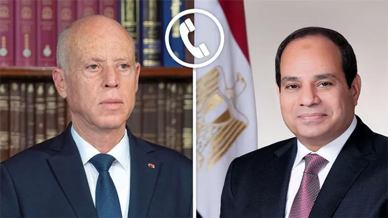 الرئيس السيسي ونظيره التونسي يؤكدان عمق العلاقات التاريخية