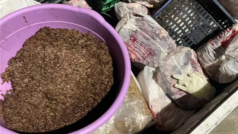 قبل رمضان.. بيطري دمياط يضبط نصف طن  لحوم غير صالحة للاستهلاك الآدمي 