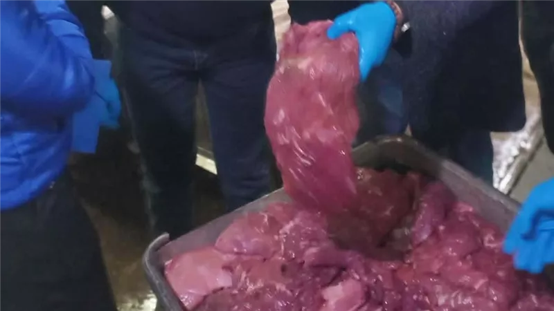 ضبط 5.5 طن لحوم ودواجن غير صالحة خلال حملة مكبرة بالعبور