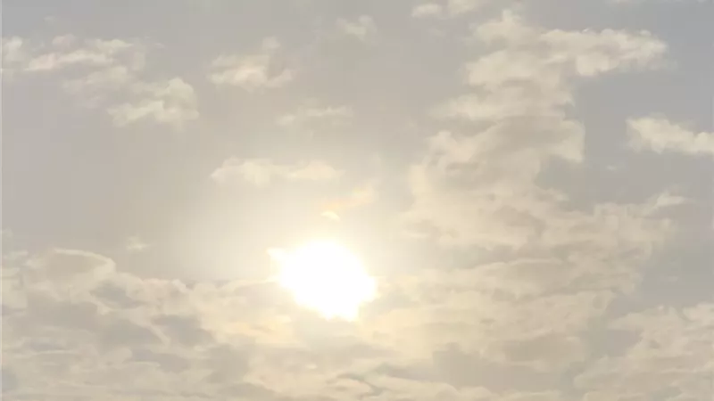 موجة شتوية قوية تضرب مصر.. المحاصيل الزراعية في خطر