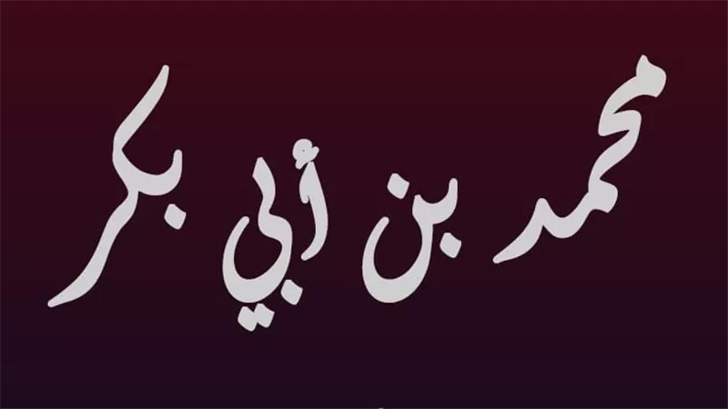 في ذكرى تولي محمد بن أبي بكر مصر.. مأساة مقتله على يد معاوية