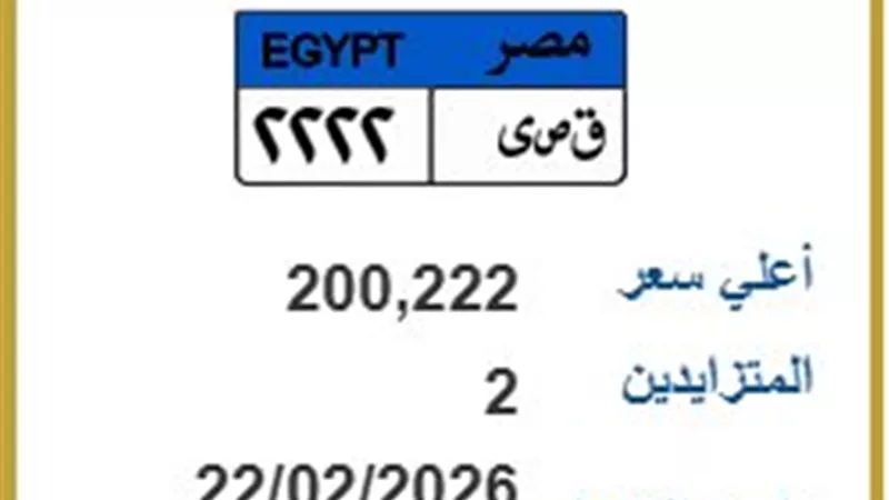 بـ200 ألف جنيه.. لوحة 