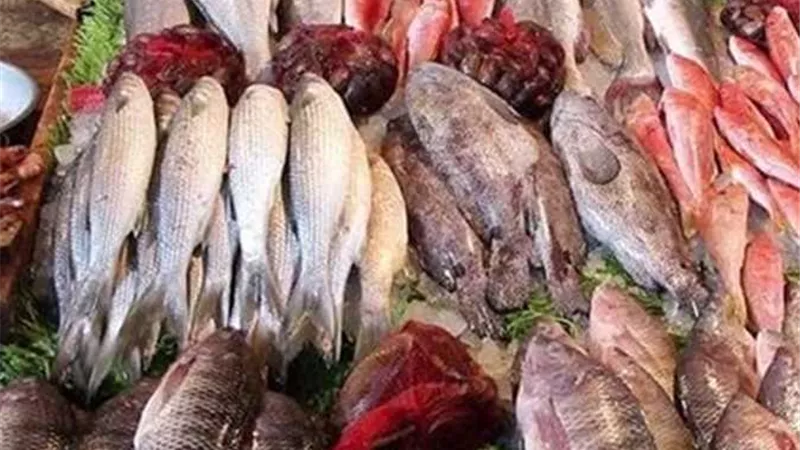 تراجع جديد.. أسعار الأسماك والمأكولات البحرية اليوم بسوق العبور