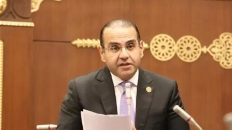 برلماني: تعديلات قانون المشروعات الصغيرة يضمن دمجها في الاقتصاد الرسمي