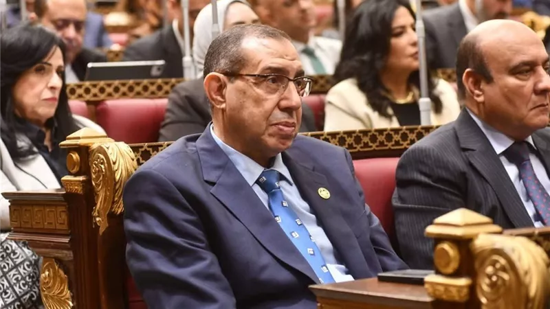 الشهاوي يشارك في مناقشة الخطة القومية لمكافحة الأورام أمام «الشيوخ»