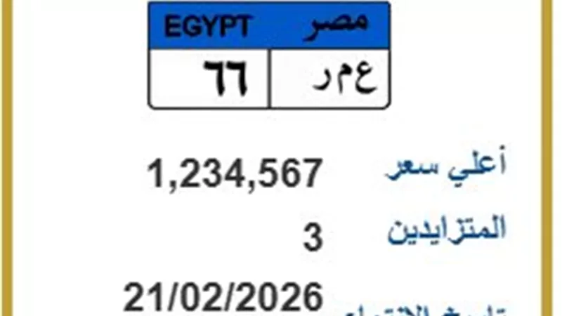 3 متنافسين على اللوحة المعدنية 