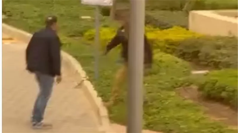 «واقعة الكمبوند».. حبس رجل الأعمال 4 أيام| تفاصيل