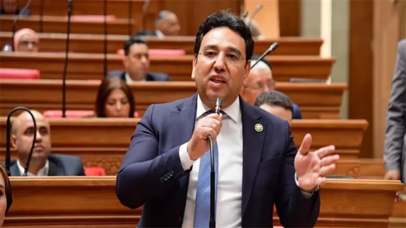 أيمن محسب: لقاء رئيس الوزراء بالهيئات البرلمانية يؤسس لشراكة حقيقية