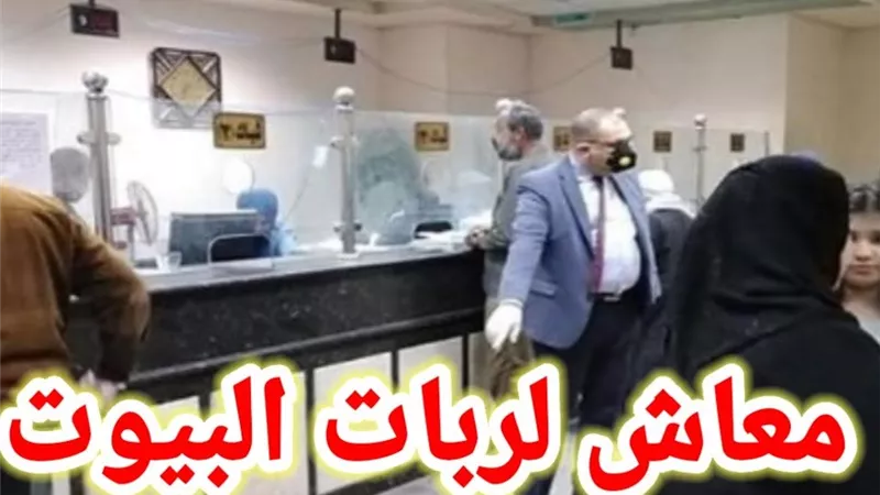 كيفية الحصول على معاش ربة المنزل 2026 في مصر: خطوات الاشتراك والشروط