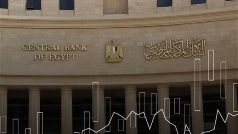 مصر ضمن أكبر أوزان محفظة «إيتون فانس» الأمريكية بنهاية 2025