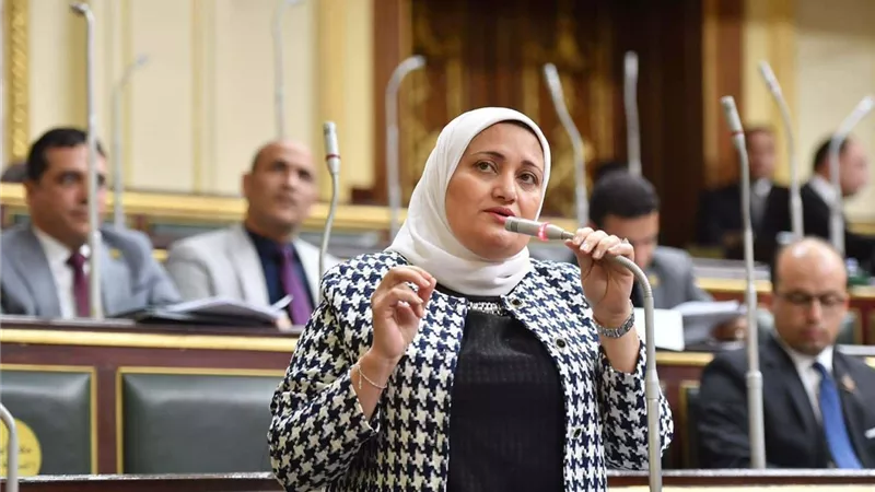بسبب الحد الأدنى للأجور.. تحرك برلماني عاجل ضد شركة «شعاع» ووزير الكهرباء