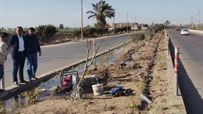 رئيس مدينة كفر الشيخ يتابع زراعة 60 ألف شتلة بمحور 30 يونيو لتجميله