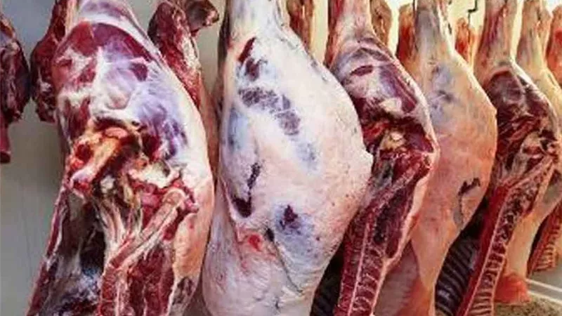 الراعي الرسمي للفطار في رمضان.. بكام اللحمة النهارده؟