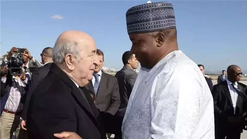 بعد المصالحة مع النيجر.. الجزائر تُعزز نفوذها في الساحل والصحراء 