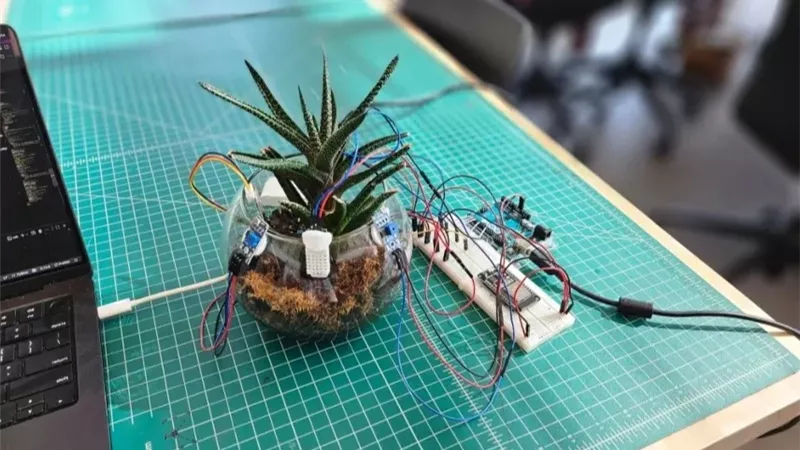 «PlantGPT».. النباتات المنزلية تطلب السماد بصوت بريطاني أنيق