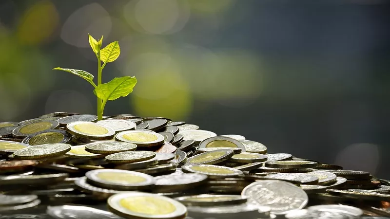 دار الإفتاء توضح حكم إخراج زكاة المال في كراتين رمضان وموائد الرحمن