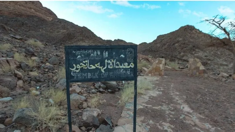 آثار تستغيث.. فاطمة سليم تفتح ملف 
