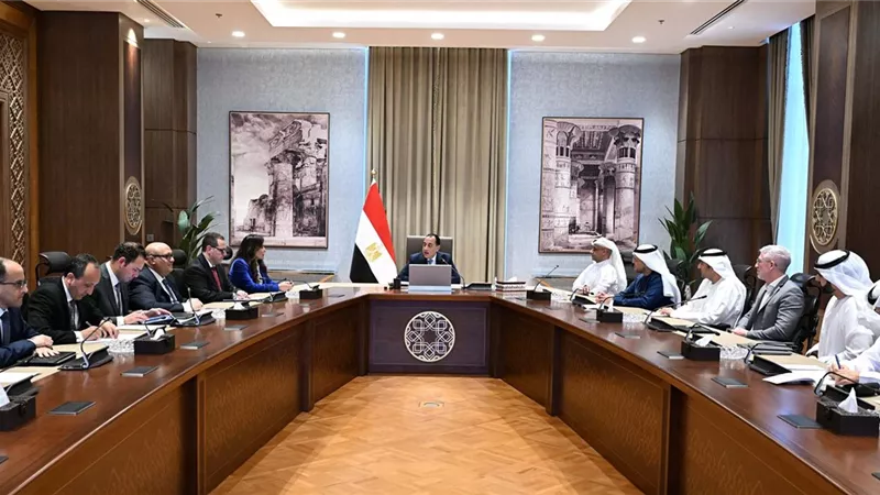 مدبولي: مشروع 