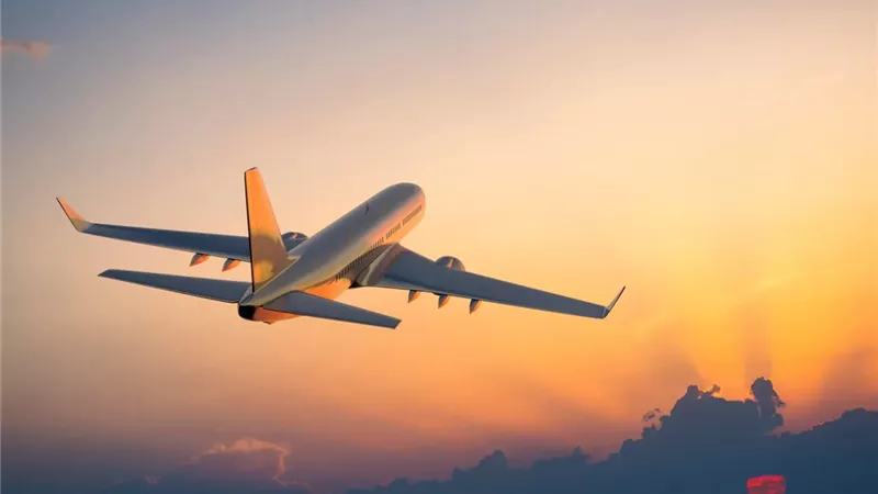  العاصفة الثلجية تتسبب في تراجع أسهم شركات الطيران 