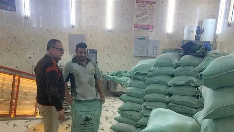 محافظ الدقهلية: ضبط 1128 شيكارة دقيق مدعم وتحرير 263 مخالفة بحملات مكثفة