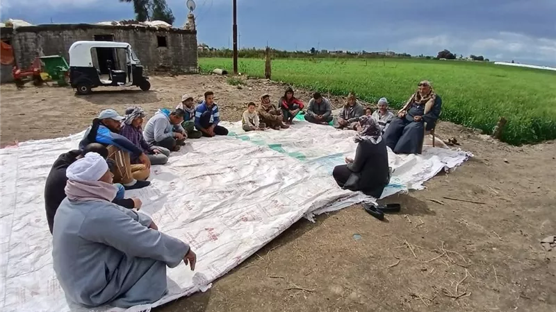 انعقاد المدرسة الحقلية لمحصول القمح بجمعية الخاشعة الزراعية ببلطيم