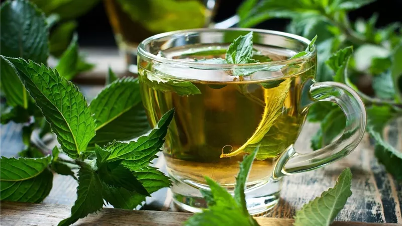 النعناع الأبرز.. 8 أنواع من الشاي تساعد على إنقاص الوزن