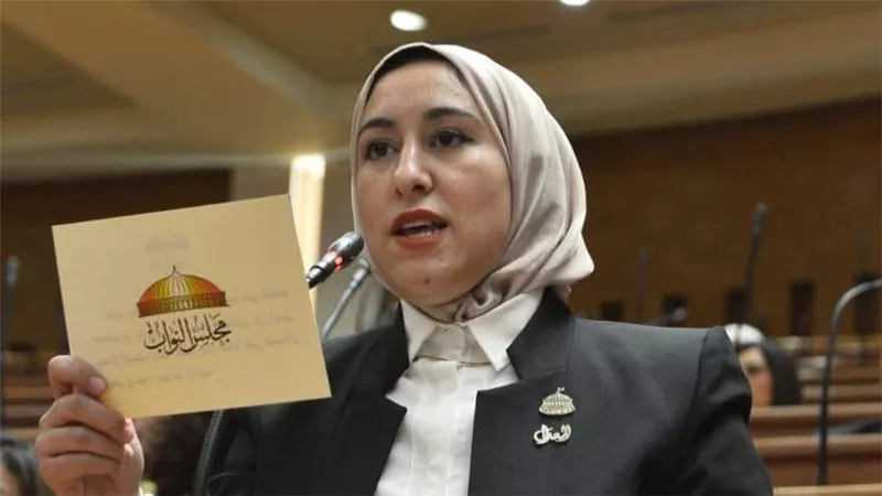 طلب إحاطة بشأن تراجع دور الهيئة القومية لسلامة الغذاء في حماية صحة المواطن