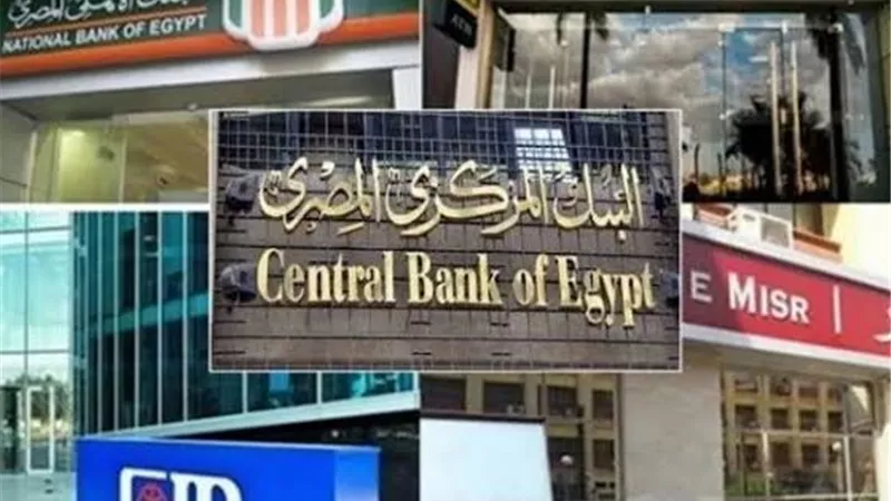 أفضل شهادات الادخار بعد خفض الفائدة في البنوك المصرية 2026.. بفوائد 20%
