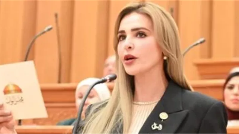 استجابة لـ«إيجبتك».. النائبة مروة بوريص تتقدم بطلب إحاطة حول مشروع الأكياس