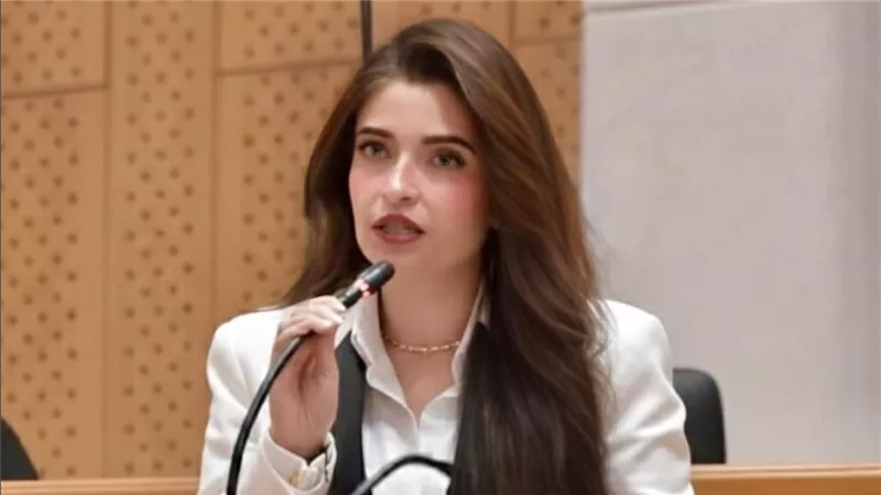 3 سنوات بلا بيانات.. إيرين سعيد تطالب بإصدار بحث الدخل والإنفاق