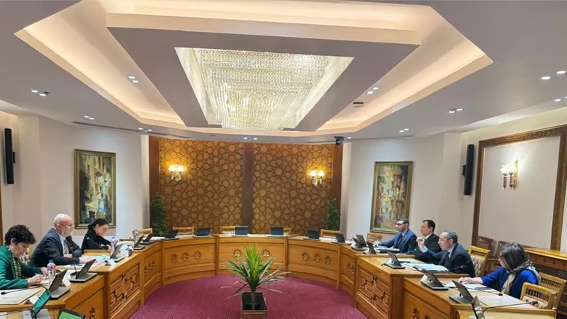 مشاورات بين مصر والاتحاد الأوروبي حول موضوعات نزع السلاح وعدم الانتشار