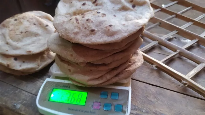تموين الغربية تضبط 84 مخالفة مخابز في 24 ساعة 