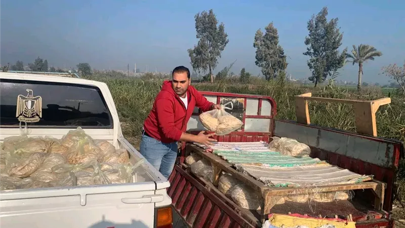 ضبط 2640 رغيف خبز قبل بيعها في السوق السوداء بالدقهلية