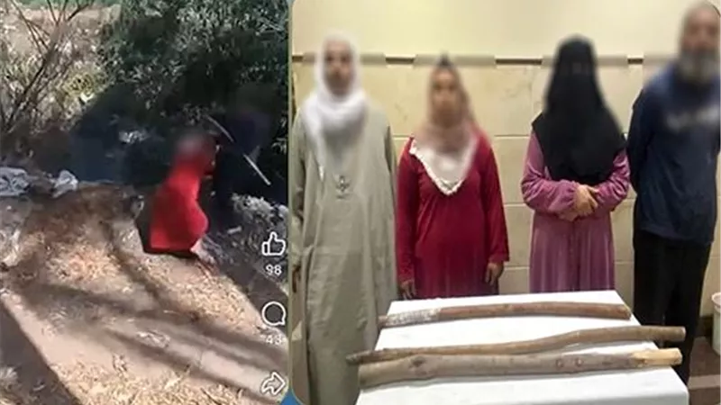 «مشهد مرعب بسبب الميراث».. الأمن يكشف كواليس المشاجرة الطاحنة في البحيرة