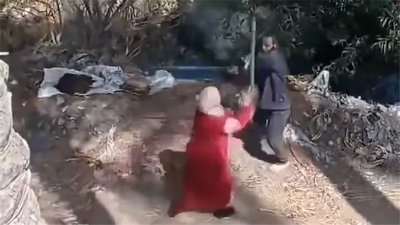 إخلاء سبيل طرفي مشاجرة بسبب إلقاء سيدة في مياه ترعة بالبحيرة بكفالة مالية