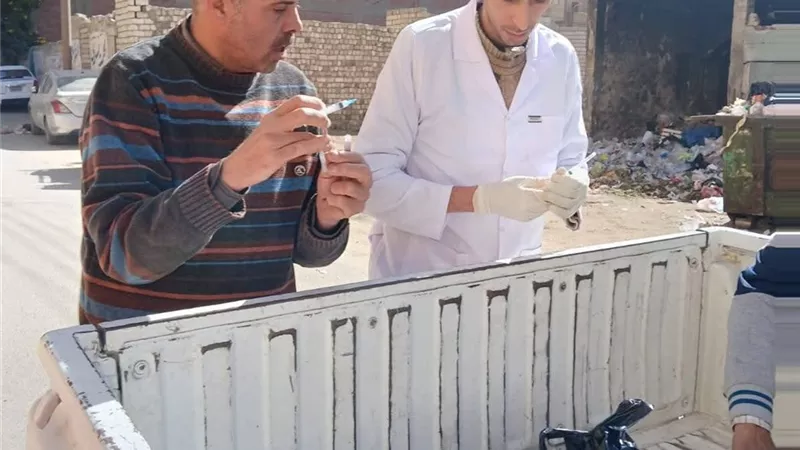تحرك بيطري في بني سويف لتطعيم الكلاب الحرة وحماية المواطنين من السعار