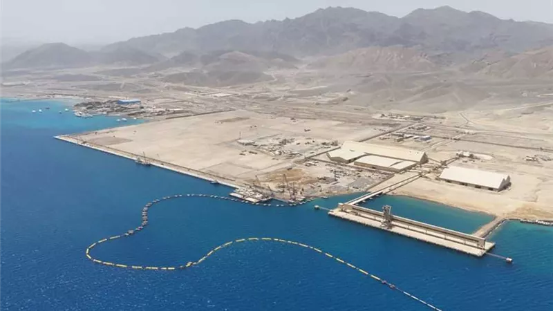 مشروع المحطة متعددة الأغراض 