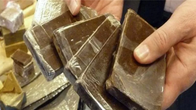 ضربة موجعة لـ تجار الكيف..مصادرة أطنان من المواد المخدرةقبل احتفالات العيد