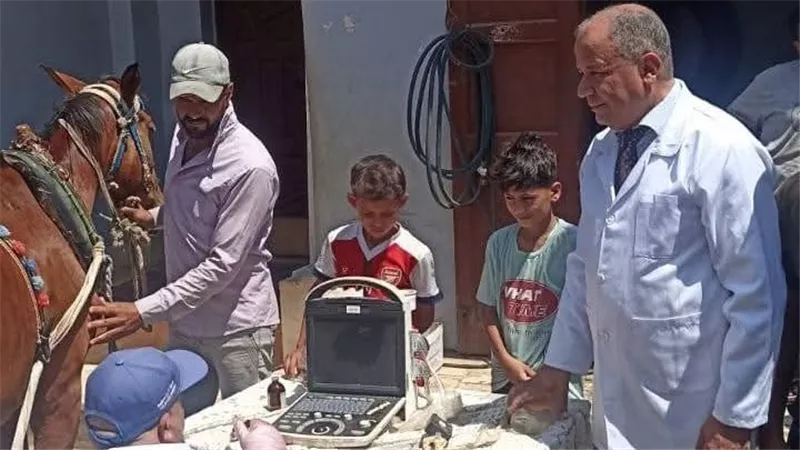 بيطري كفر الشيخ ينهي علاج ضعف الخصوبة وأمراض الإنتاجية في 3845 حيوانا