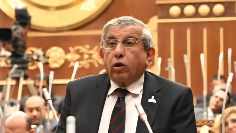 برلماني يطالب بخطة 