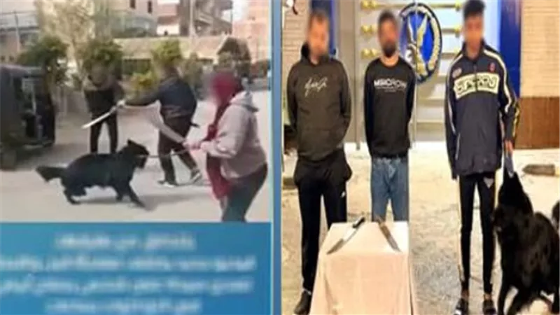 «خناقة شوارع».. مصففة شعر تشن حربا على طليقها «بالكلب والساطور» بسبب نجلها