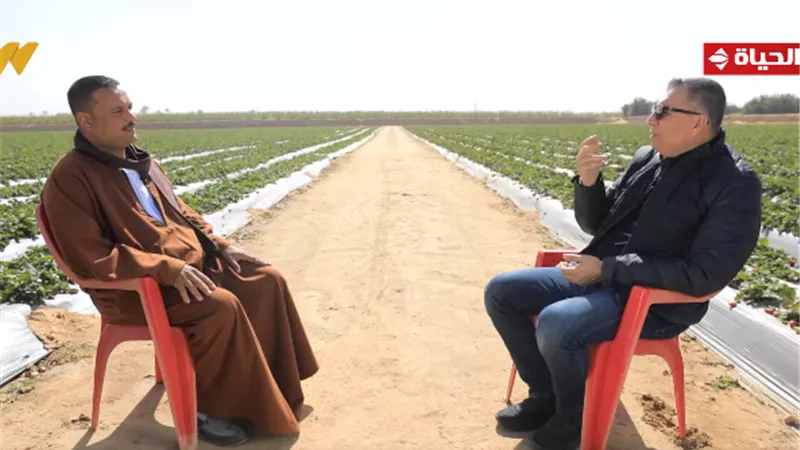 من فدان فراولة إلى 300 فدان.. قصة نجاح المزارع حسن مع «أجمل ناس»|فيديو