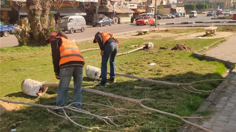 الإسماعيلية تواصل مبادرة «ازرع شجرة وجمّل مدينتك»