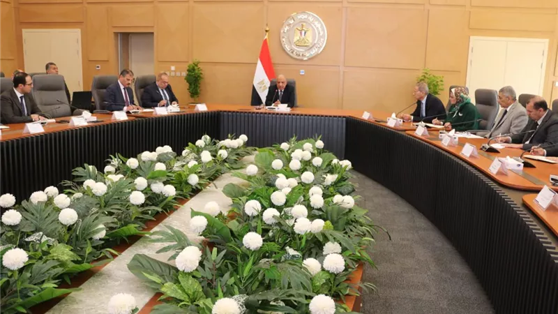 محمود عصمت يوجه برفع درجة الاستعداد في «الكهرباء» لمواجهة الظروف الطارئة 