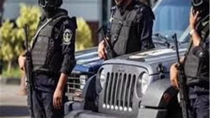 «بسبب الرؤية».. ضبط سيدة وشقيقها تعديا على طليقها بالسب والضرب بالبحيرة