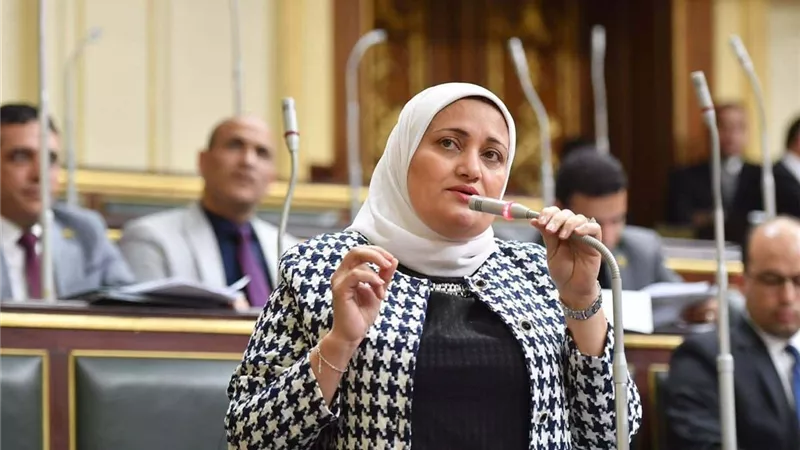 سناء السعيد تطالب بحماية الحقوق الاقتصادية للمصريين