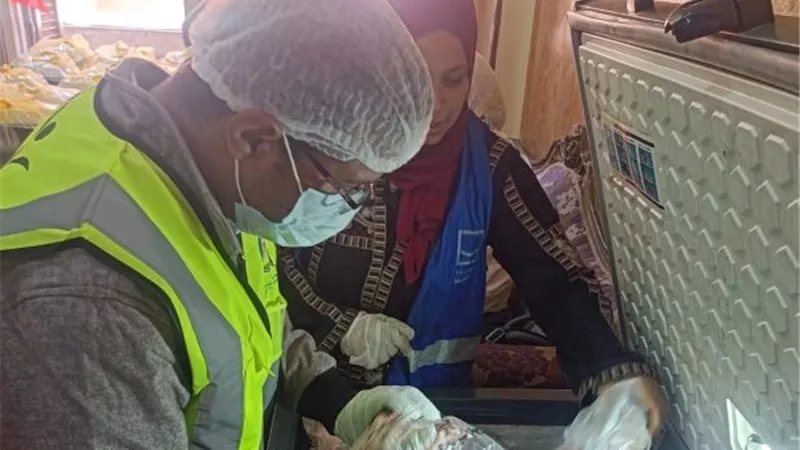 «سلامة الغذاء»:  225 ألف طن صادرات أغذية في أسبوع.. و370 ألفًا واردات 